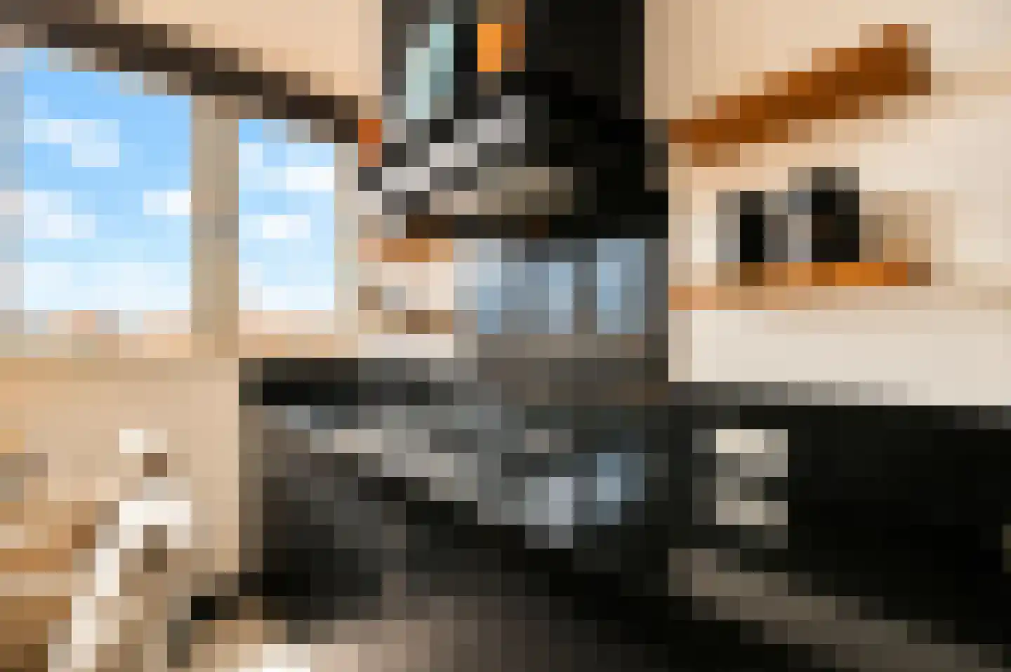 Haltestraat 15 f Zandvoort thumbnail 11