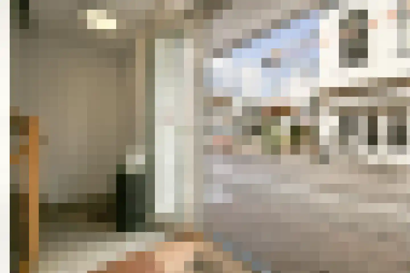 Haltestraat 15 f Zandvoort thumbnail 4