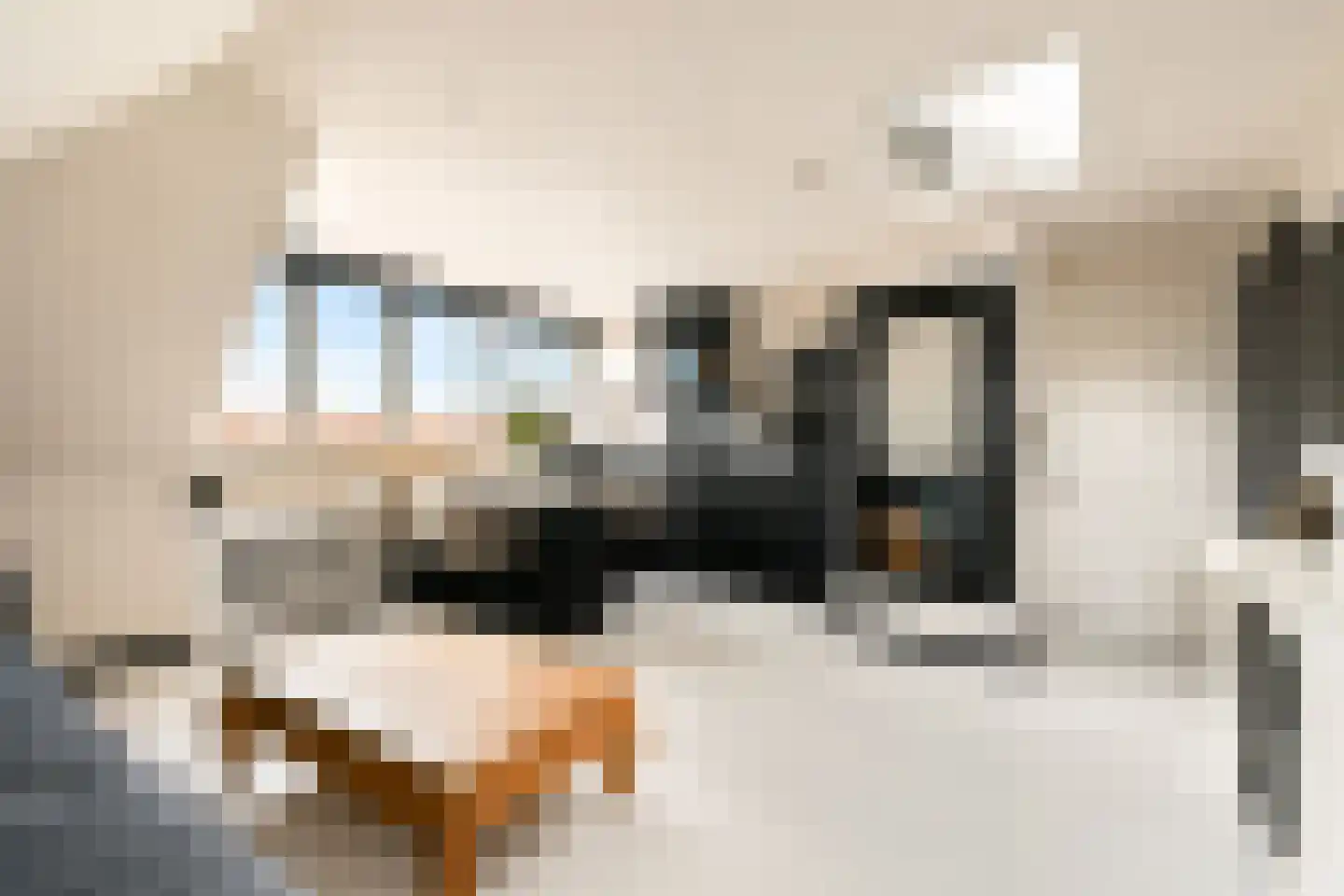 Haltestraat 15 f Zandvoort thumbnail 7