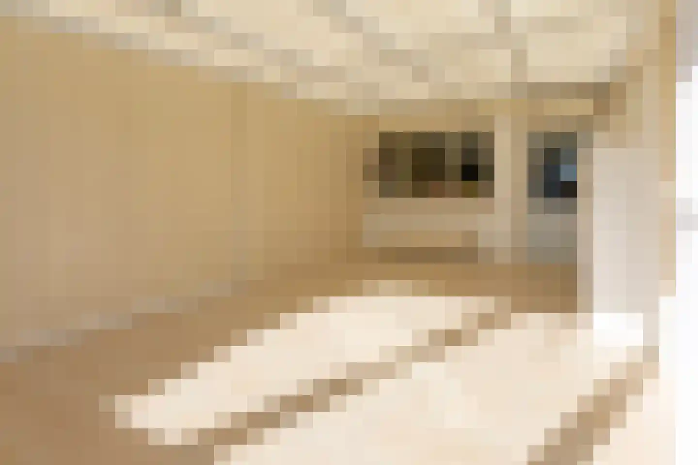Haltestraat 32 Rilland thumbnail 36
