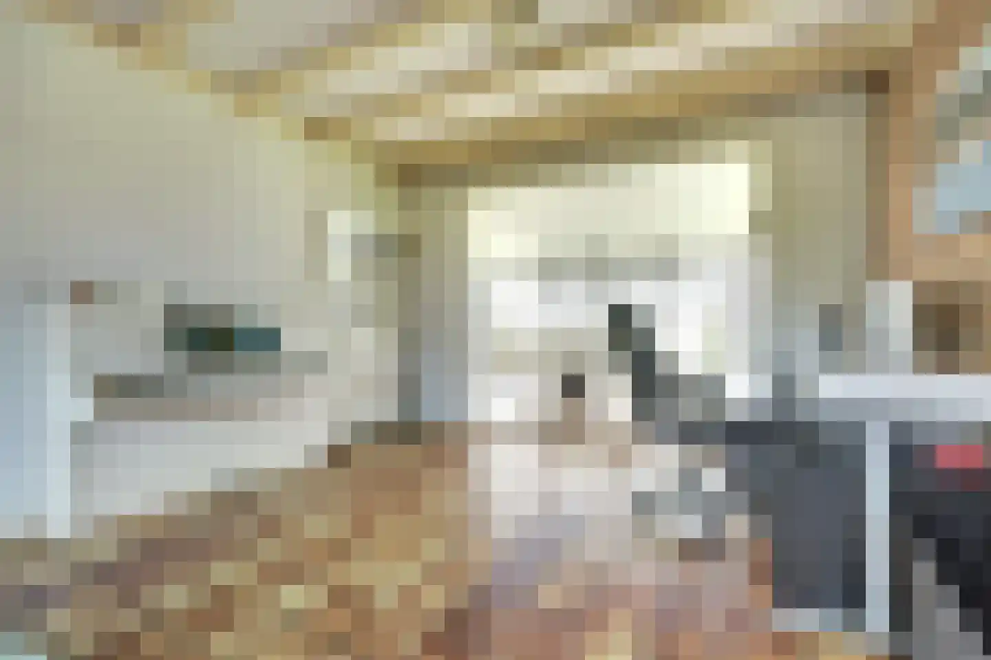 Haltestraat 72 Rilland thumbnail 10