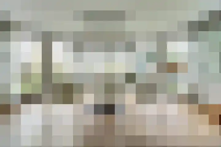 Haltestraat 72 Rilland thumbnail 11