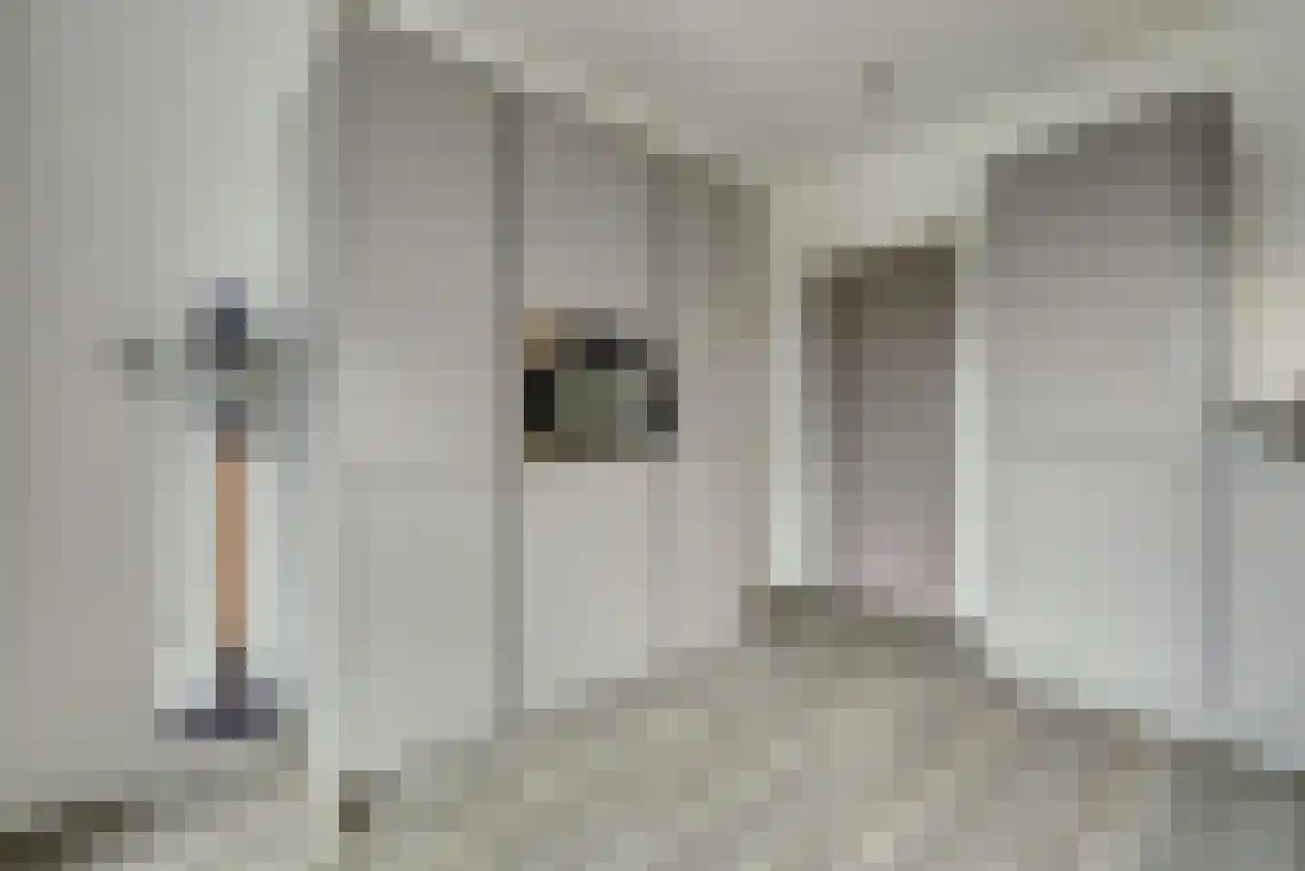 Haltestraat 72 Rilland thumbnail 14