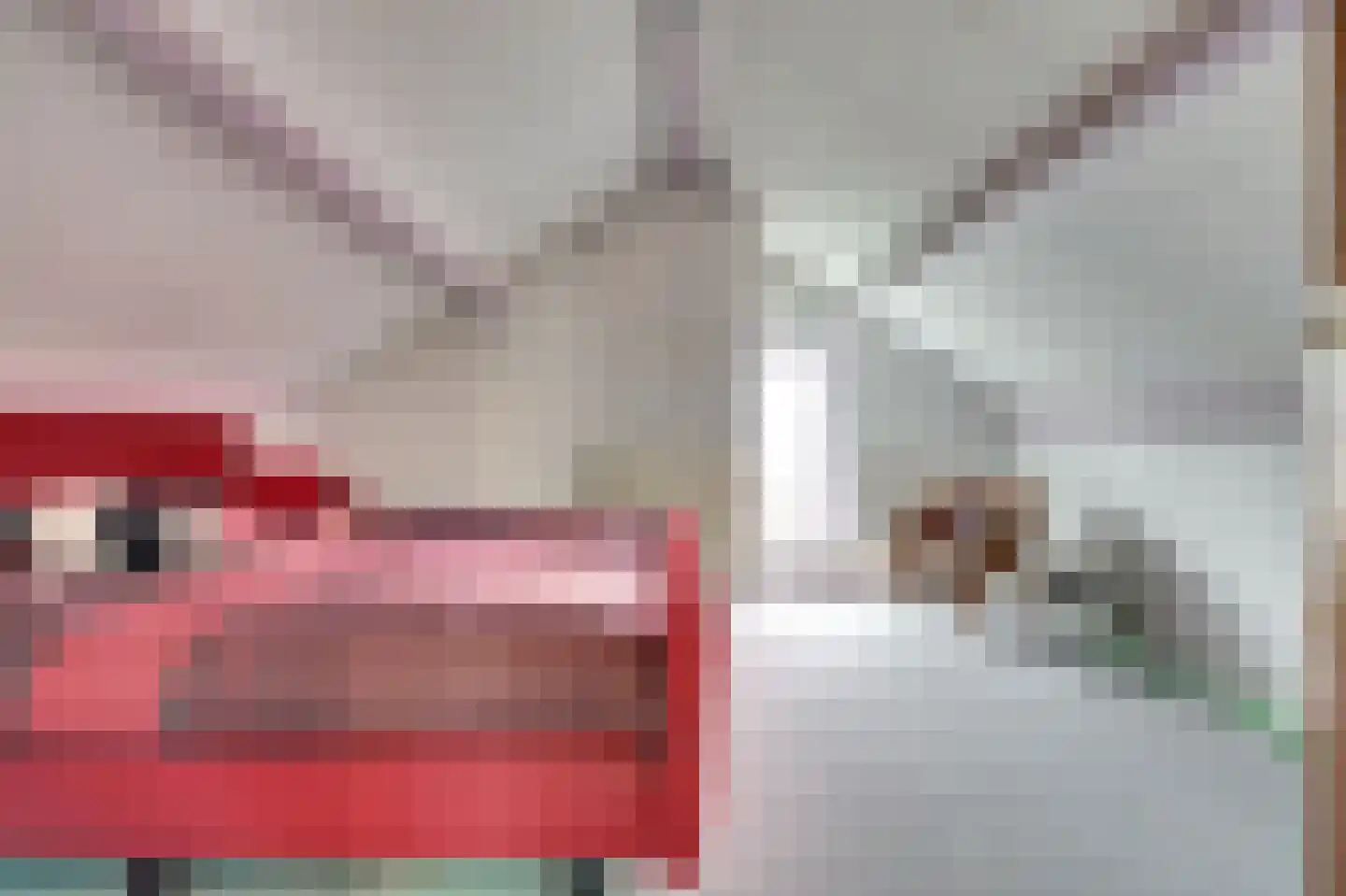 Haltestraat 72 Rilland thumbnail 26
