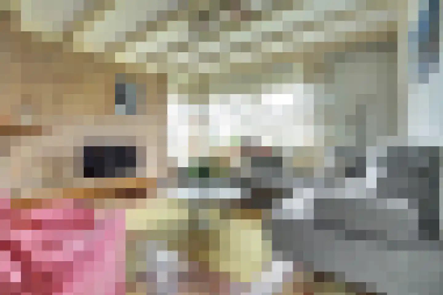 Haltestraat 72 Rilland thumbnail 5