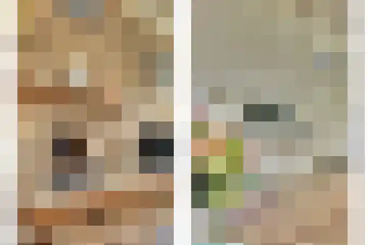 Haltestraat 72 Rilland thumbnail 8