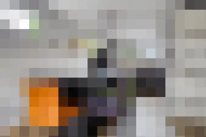 Haltewei 14 Barendrecht thumbnail 22