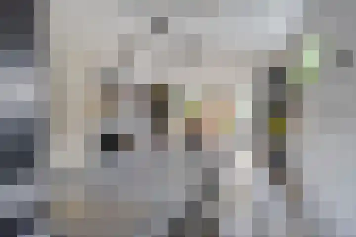 Haltewei 14 Barendrecht thumbnail 9