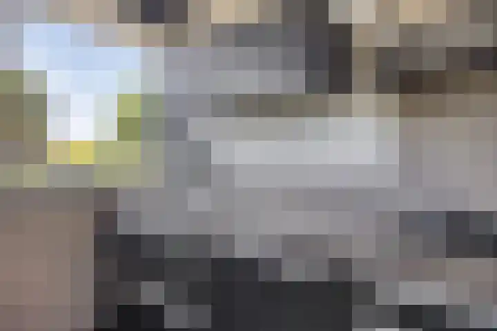 Haltewei 6 Barendrecht thumbnail 14