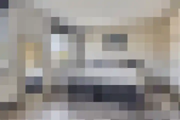 Haltewei 6 Barendrecht thumbnail 16