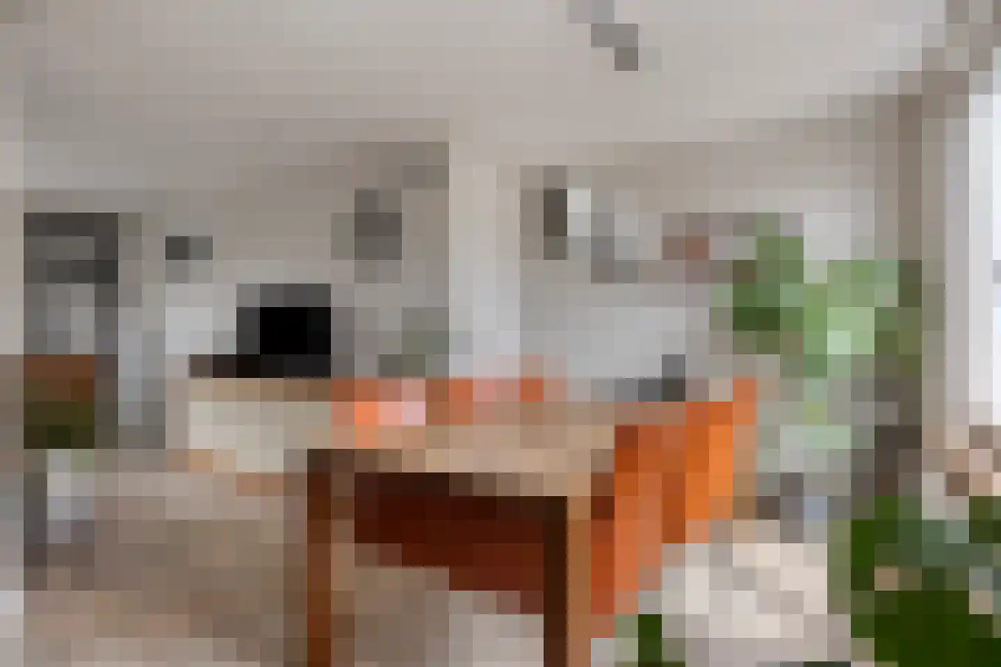 Halve Maan 13 Goirle thumbnail 12