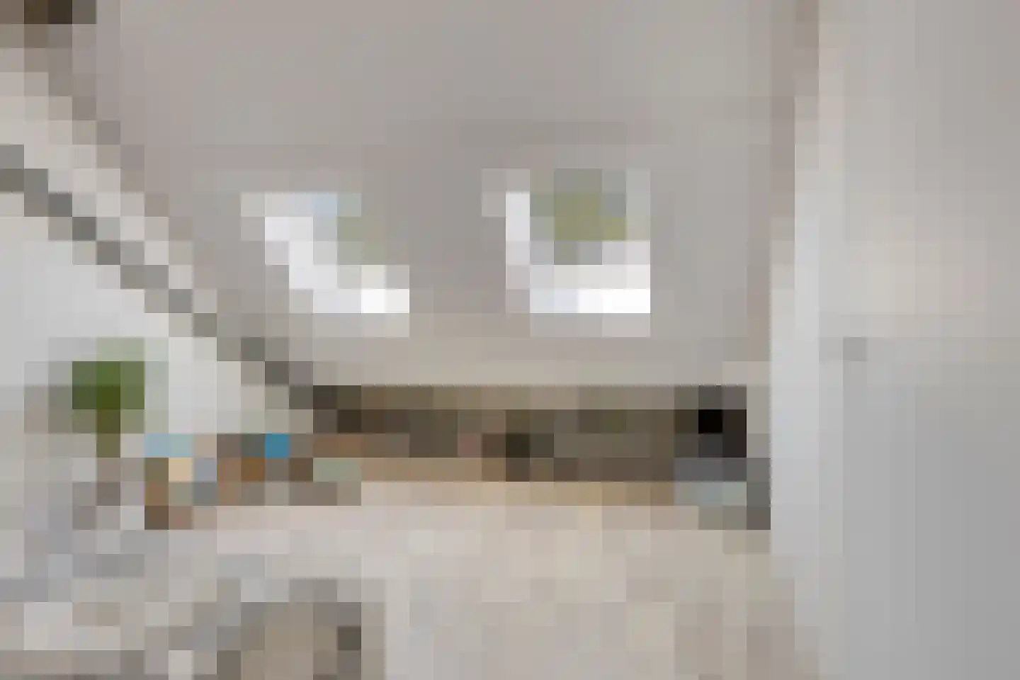 Halve Maan 13 Goirle thumbnail 24