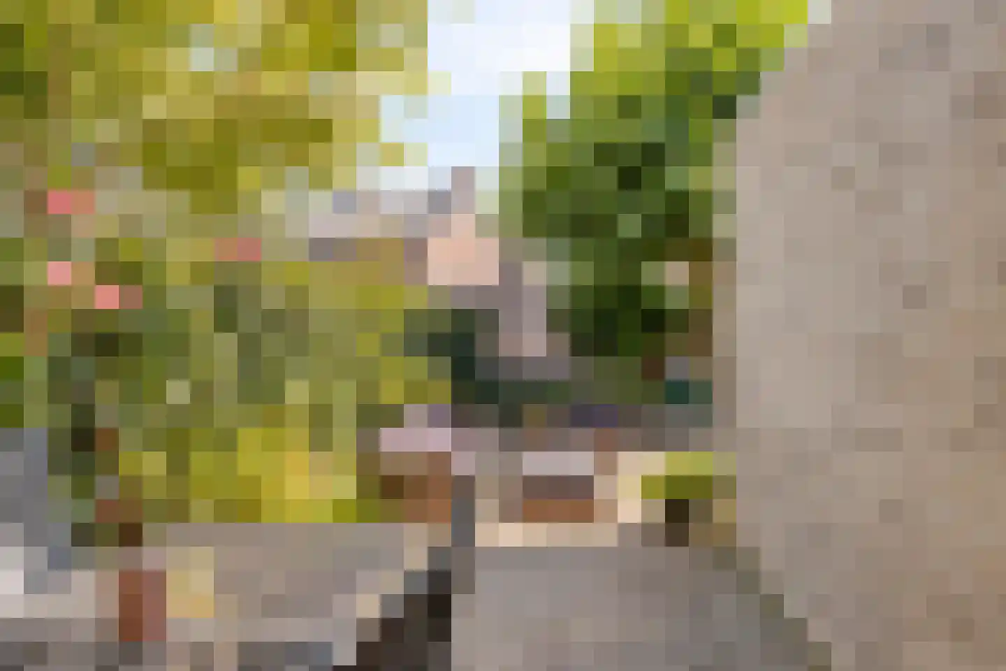 Halve Maan 13 Goirle thumbnail 27