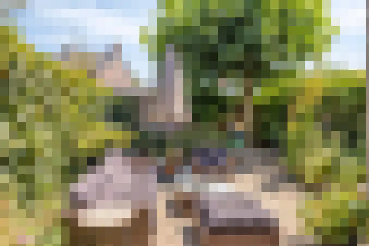 Halve Maan 13 Goirle thumbnail 28