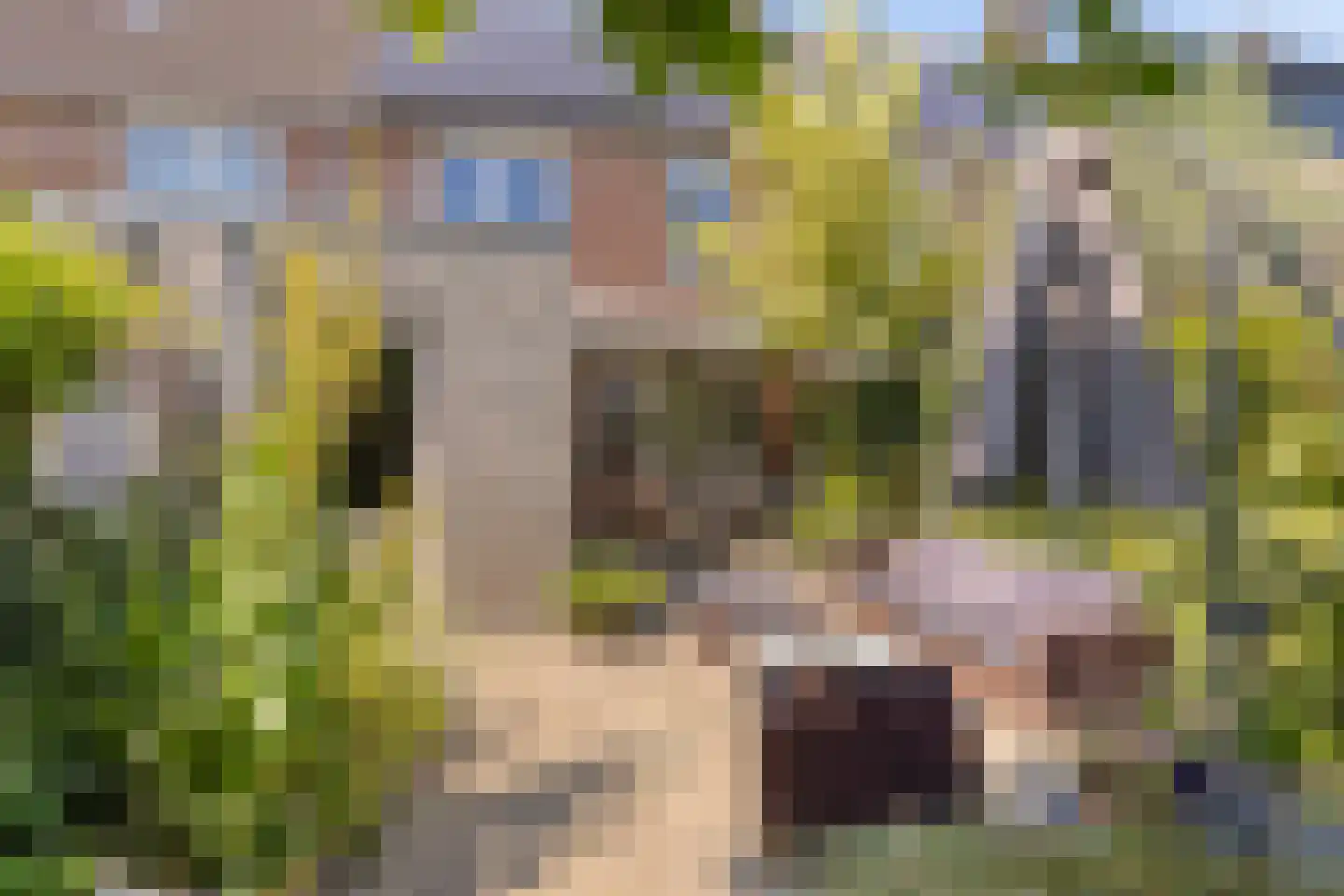 Halve Maan 13 Goirle thumbnail 29