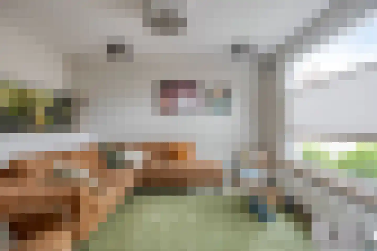 Halve Maan 13 Goirle foto 3