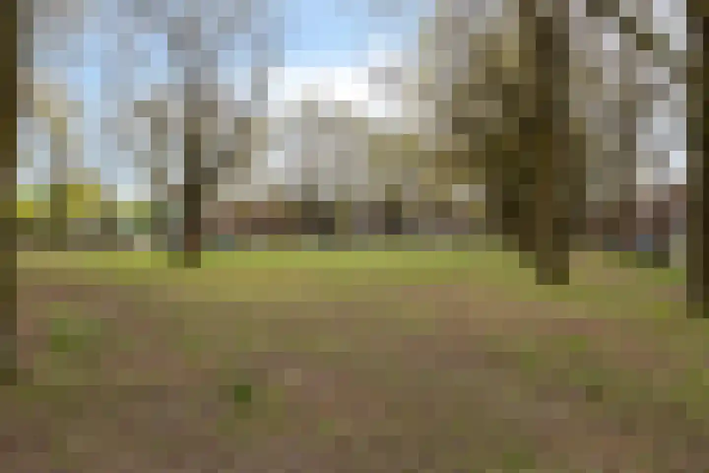 Halve Maan 13 Goirle thumbnail 34