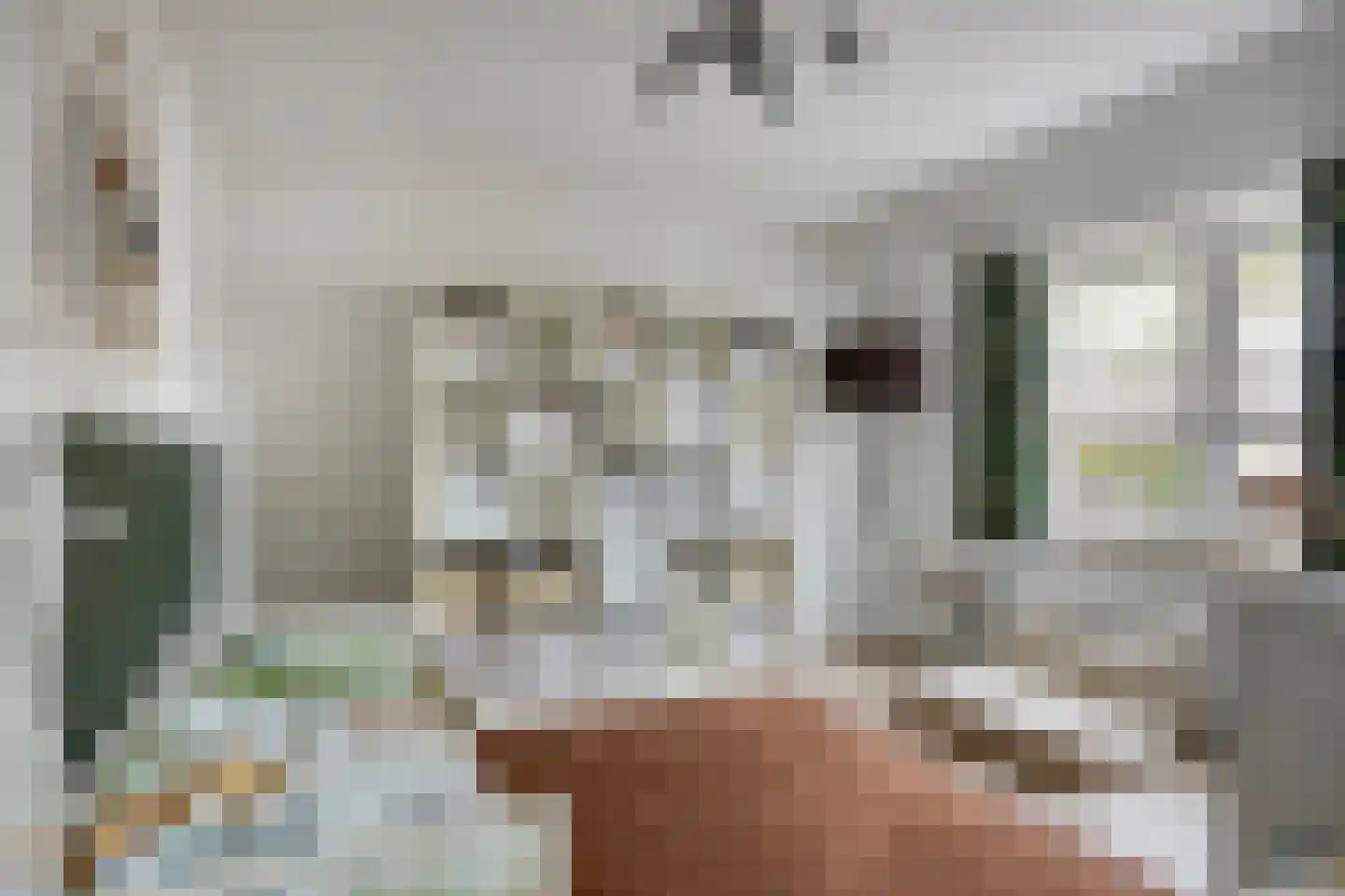 Halve Maan 13 Goirle thumbnail 37