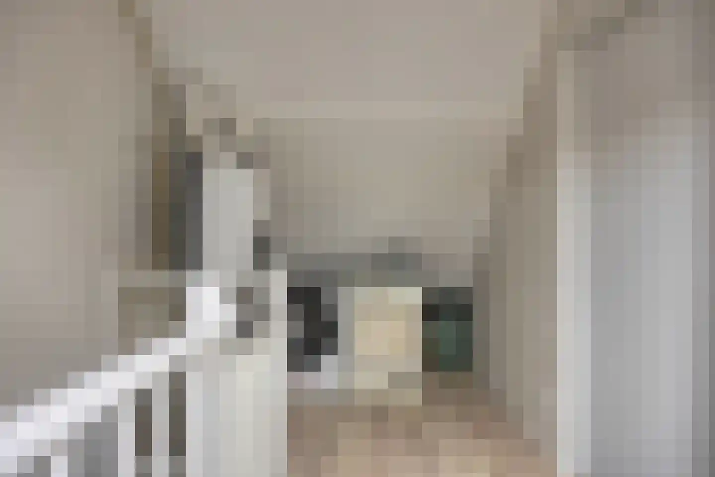 Halve Maan 13 Goirle thumbnail 44