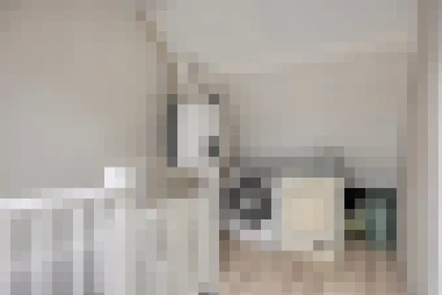 Halve Maan 13 Goirle thumbnail 45