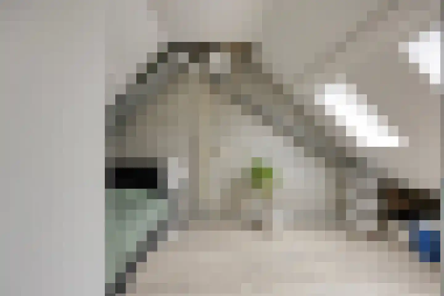 Halve Maan 13 Goirle thumbnail 46