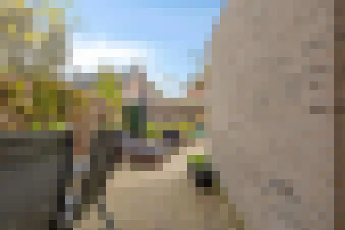 Halve Maan 13 Goirle thumbnail 50