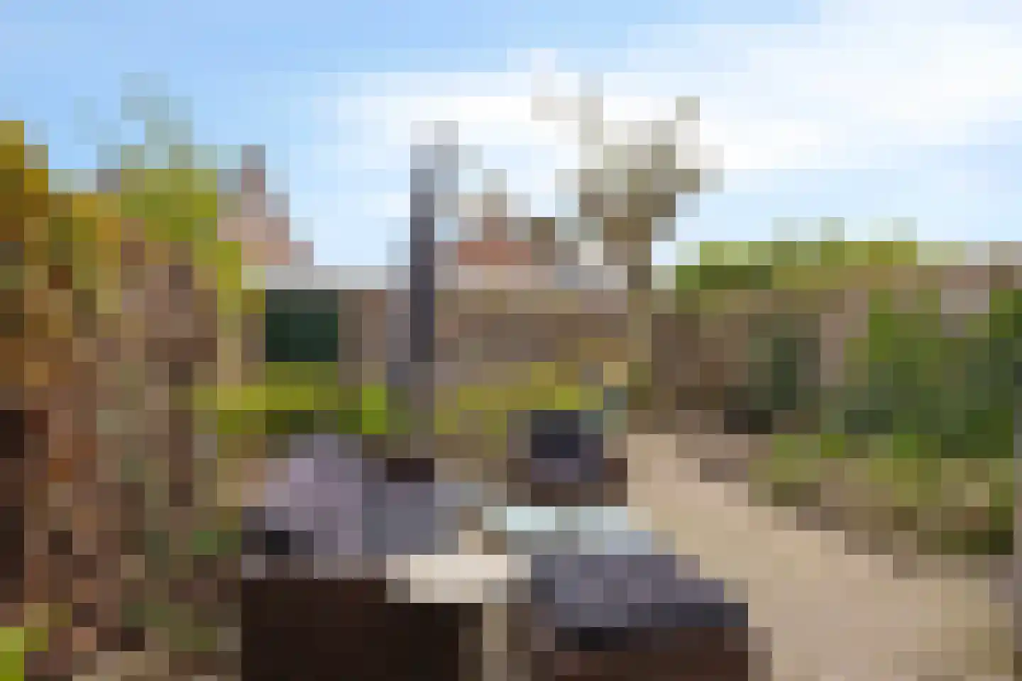 Halve Maan 13 Goirle thumbnail 52