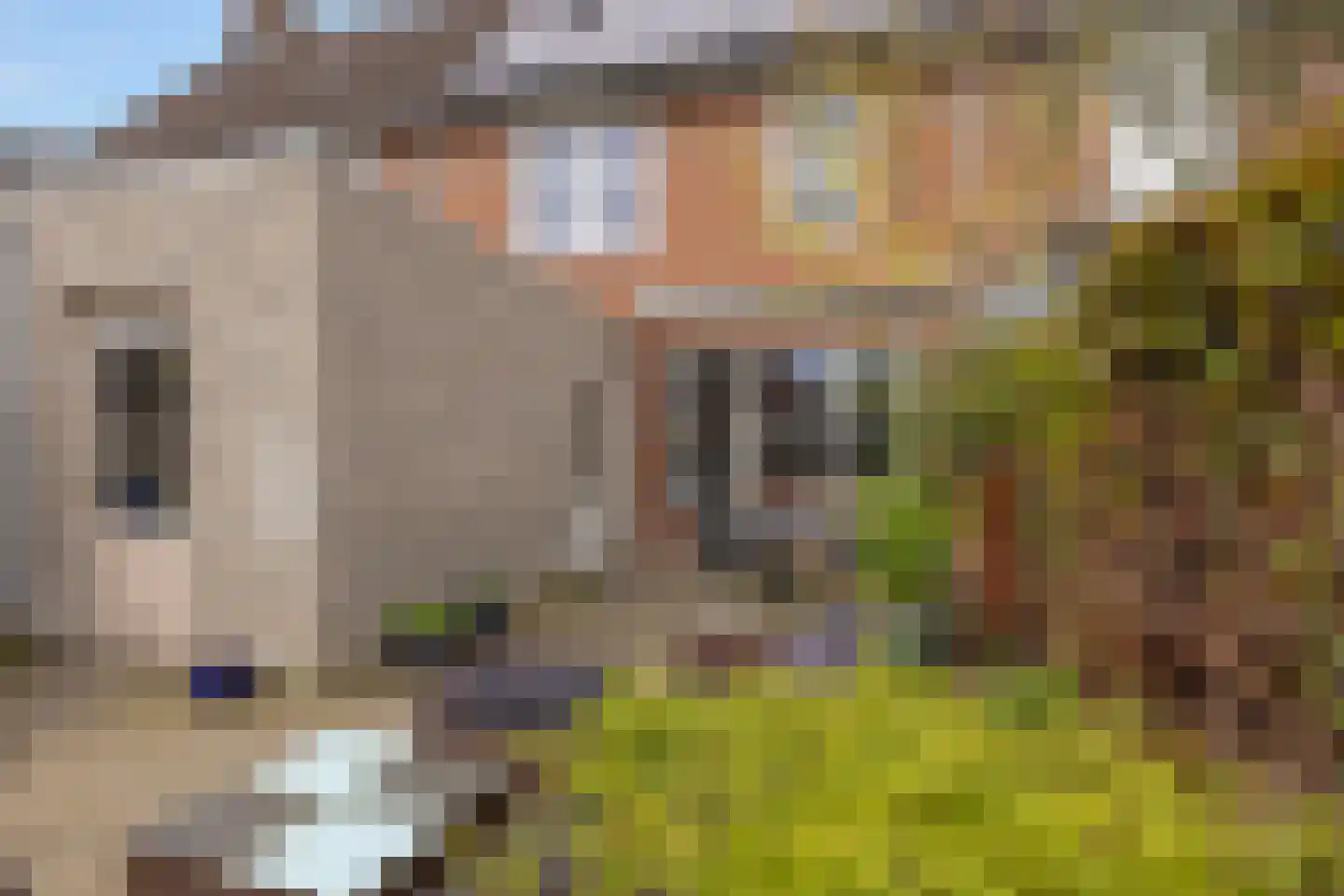Halve Maan 13 Goirle thumbnail 56
