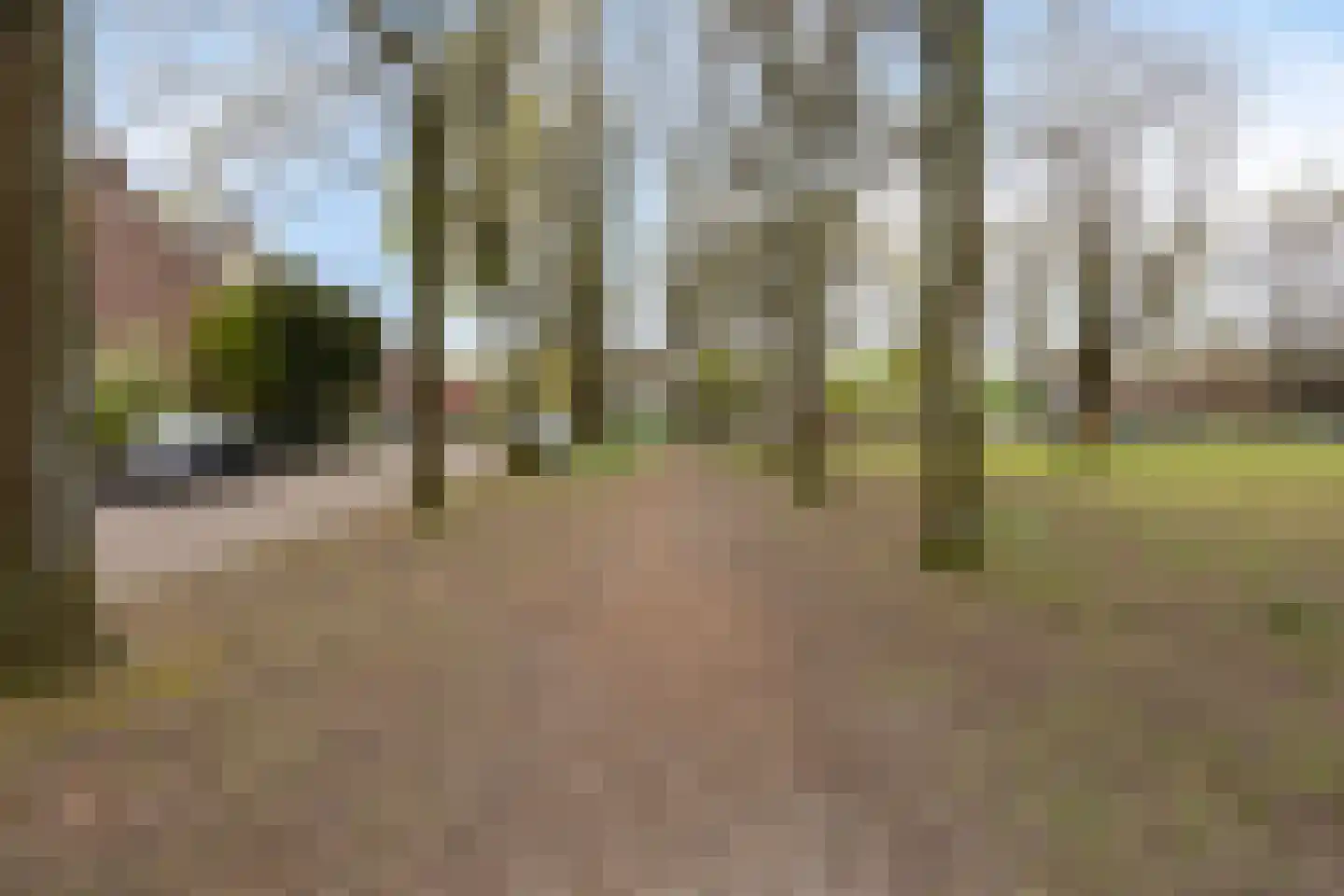 Halve Maan 13 Goirle thumbnail 63
