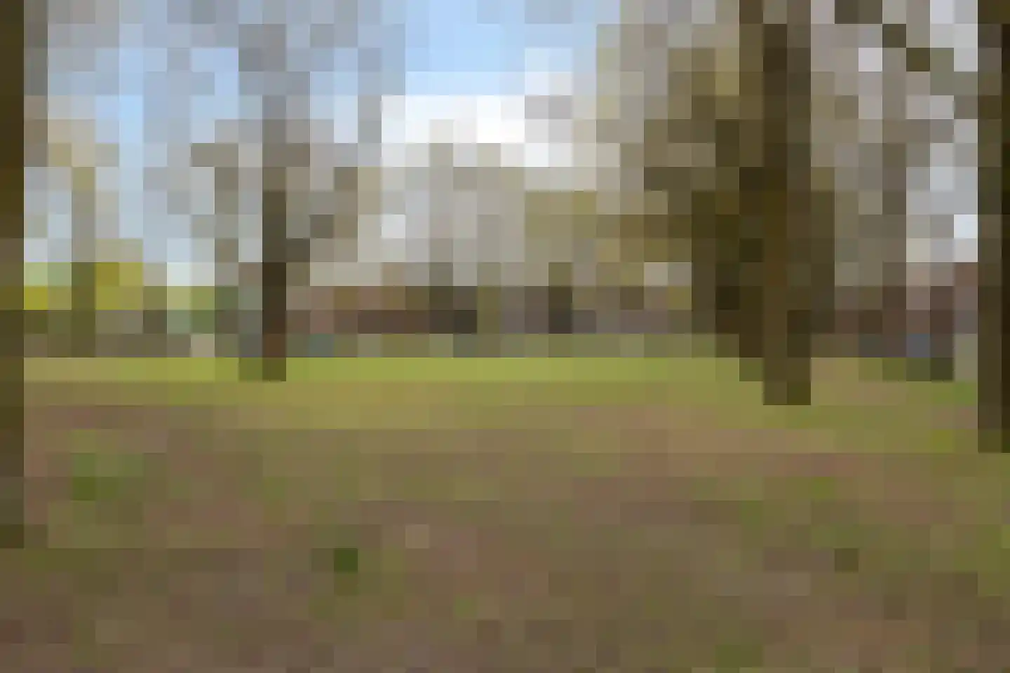 Halve Maan 13 Goirle thumbnail 64
