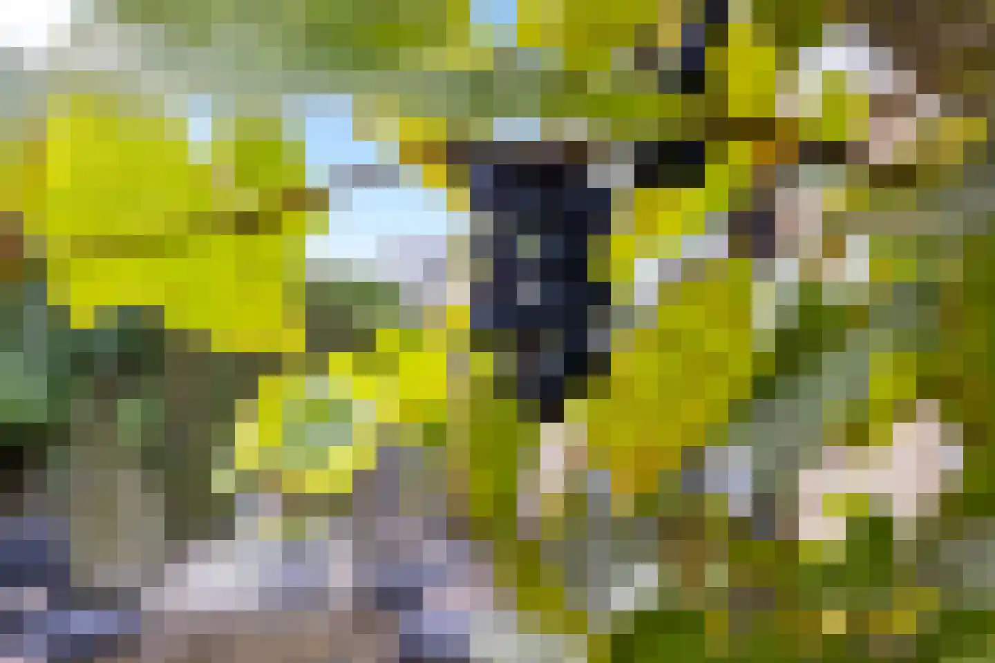 Halve Maan 20 Gorinchem thumbnail 17