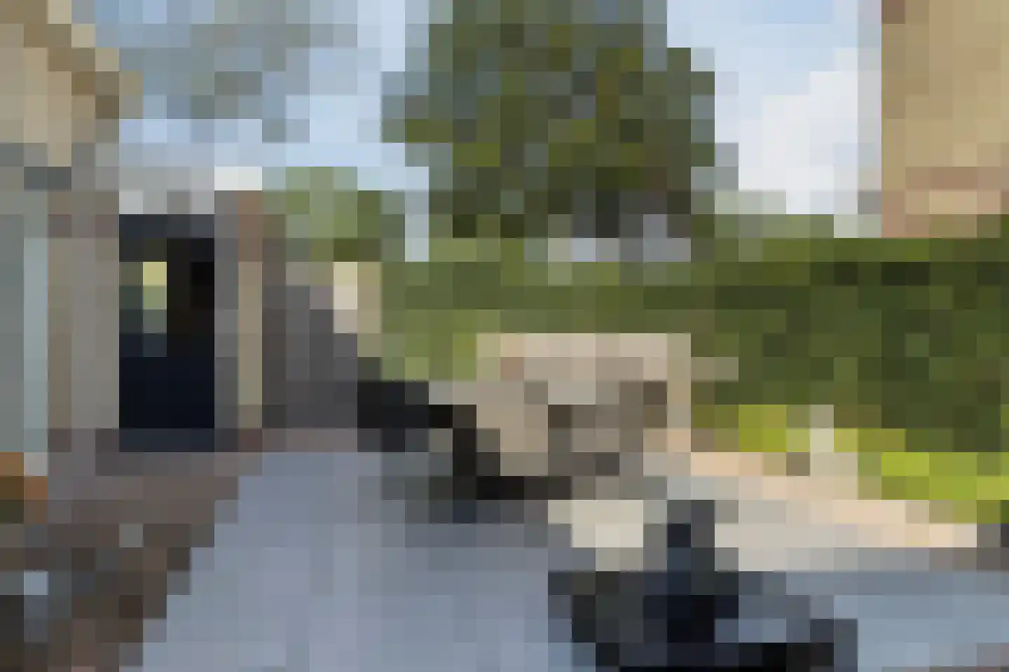 Halve Maan 9 Gorinchem thumbnail 16