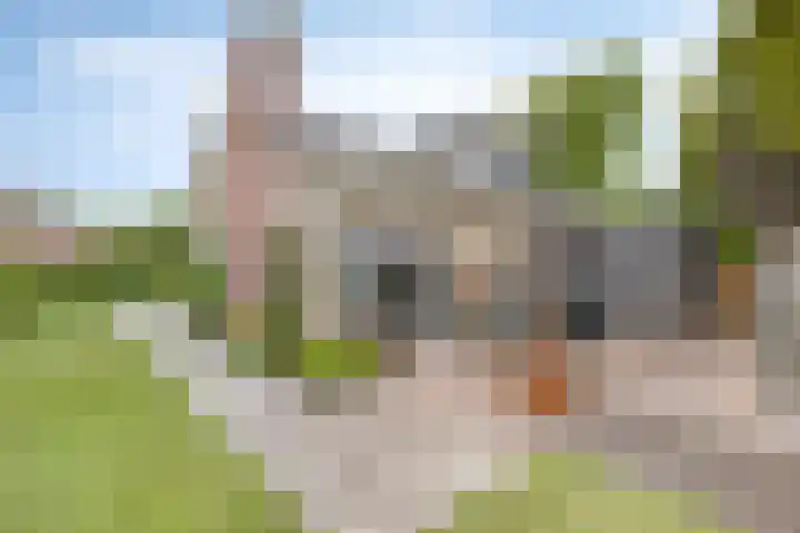 Halve Maanstraat 4 Oostkapelle thumbnail 32