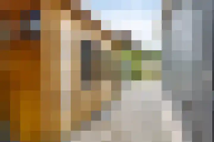 Halve Maanstraat 4 Oostkapelle thumbnail 34