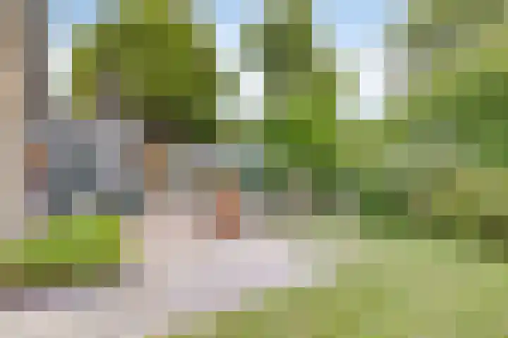 Halve Maanstraat 4 Oostkapelle thumbnail 37