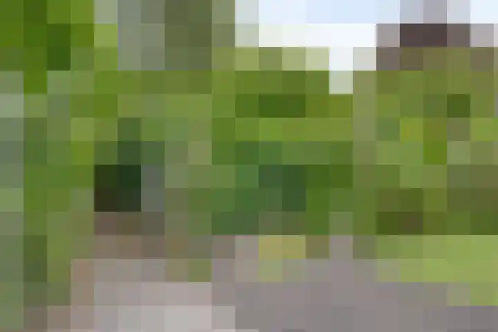 Halve Maanstraat 4 Oostkapelle thumbnail 38