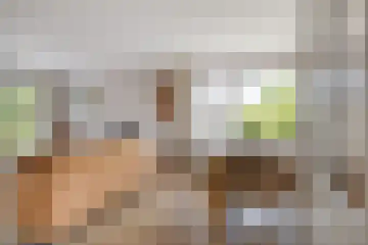 Halve Maanstraat 4 Oostkapelle thumbnail 8