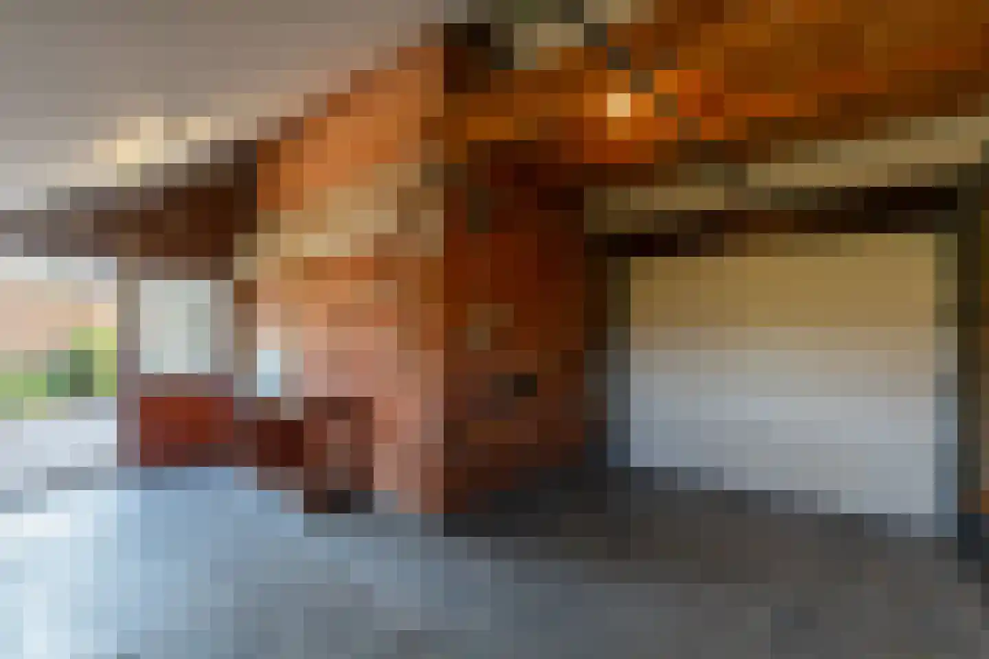 Halve Maanstraat 8 Oostkapelle thumbnail 24