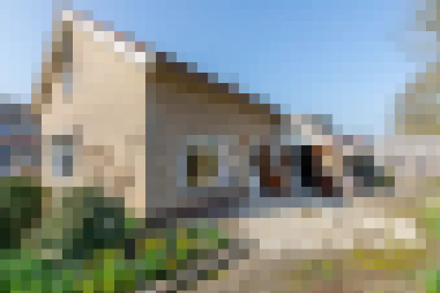 Halve Maanstraat 8 Oostkapelle thumbnail 25