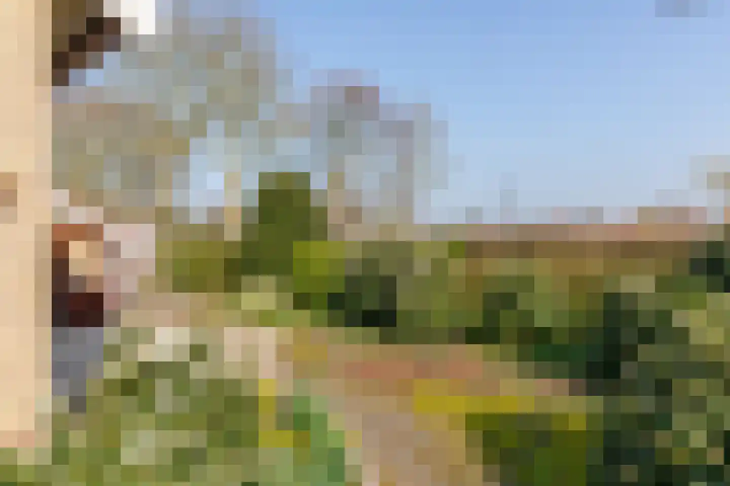 Halve Maanstraat 8 Oostkapelle thumbnail 26