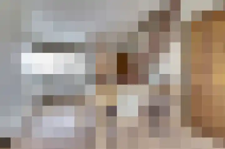 Halve Morgen 119 Westervoort thumbnail 21
