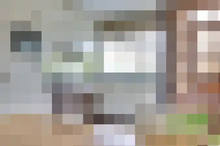 Halve Morgen 119 Westervoort thumbnail 26