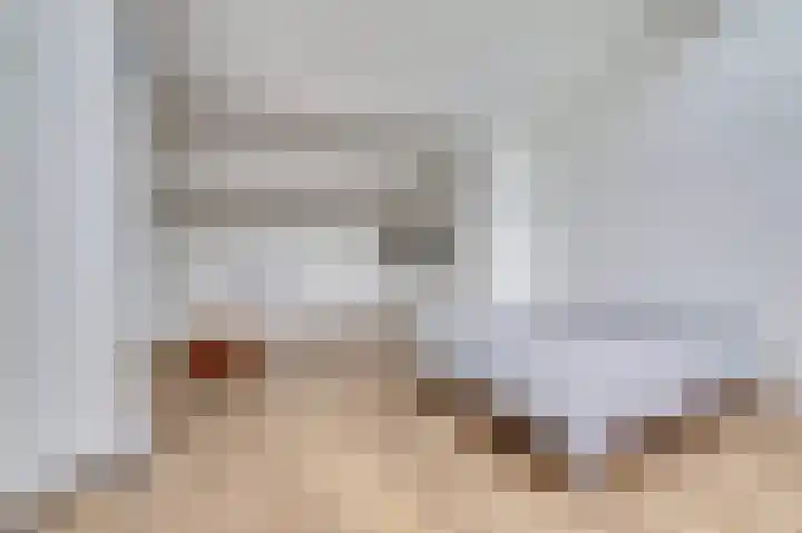 Halve Morgen 119 Westervoort thumbnail 42