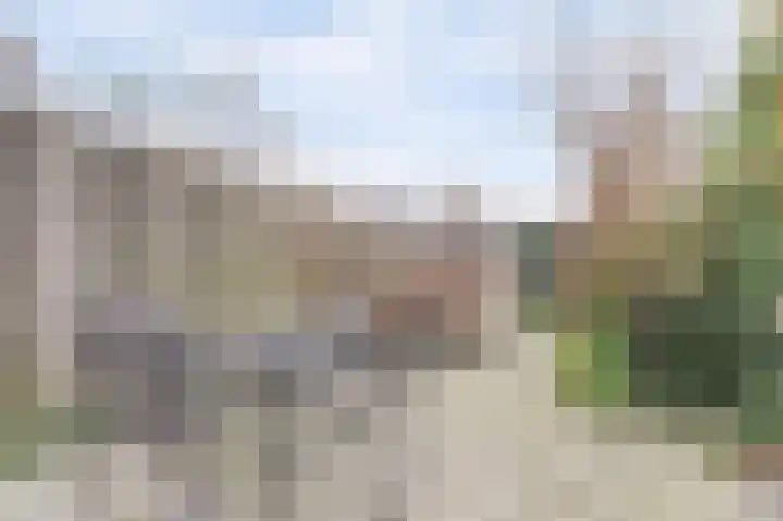 Halve Morgen 119 Westervoort thumbnail 45