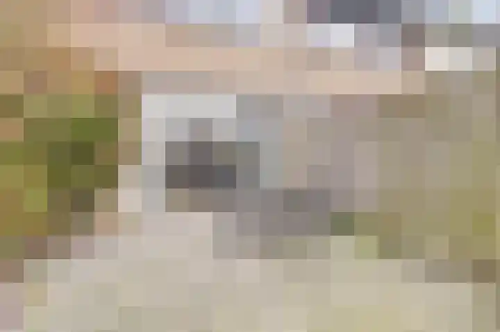 Halve Morgen 119 Westervoort thumbnail 47