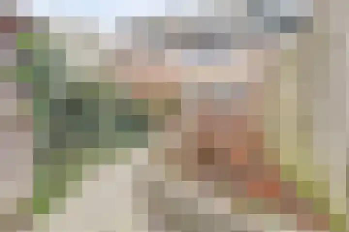 Halve Morgen 119 Westervoort thumbnail 49