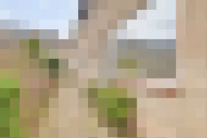 Halve Morgen 119 Westervoort thumbnail 5