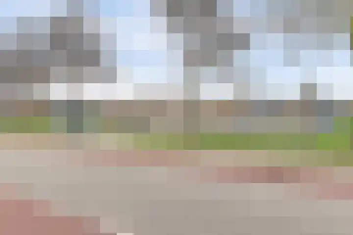 Halve Morgen 119 Westervoort thumbnail 50