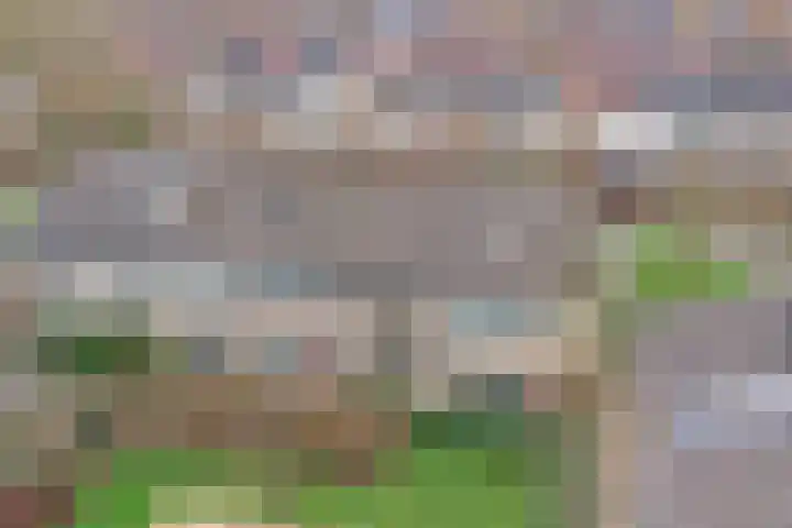 Halve Morgen 119 Westervoort thumbnail 54