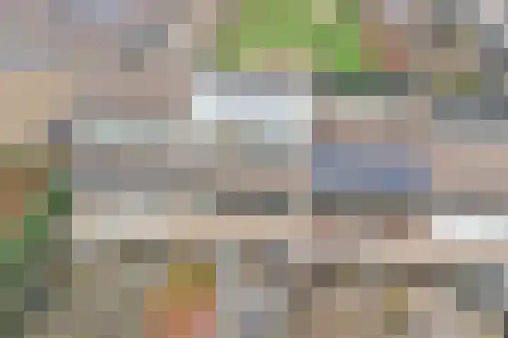 Halve Morgen 119 Westervoort thumbnail 55